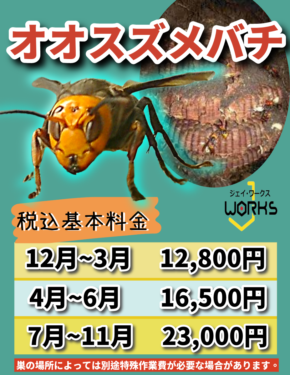 東近江市オオスズメバチ駆除料金
